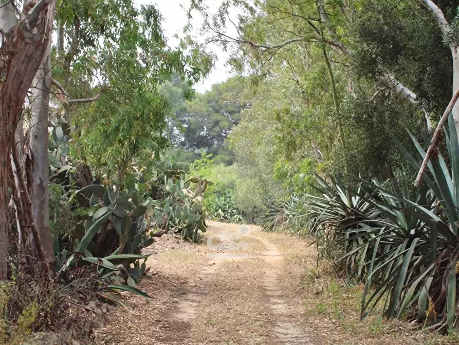 Immagine 5 di Terreno edificabile in vendita  a Marsala