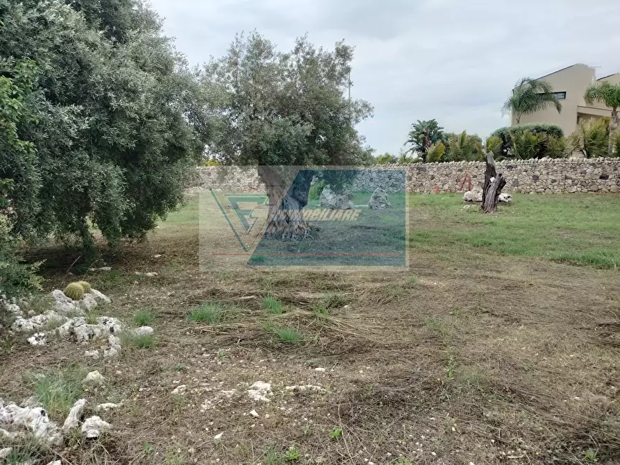 Immagine 15 di Terreno edificabile in vendita  in Traversa Sinerchia a Siracusa
