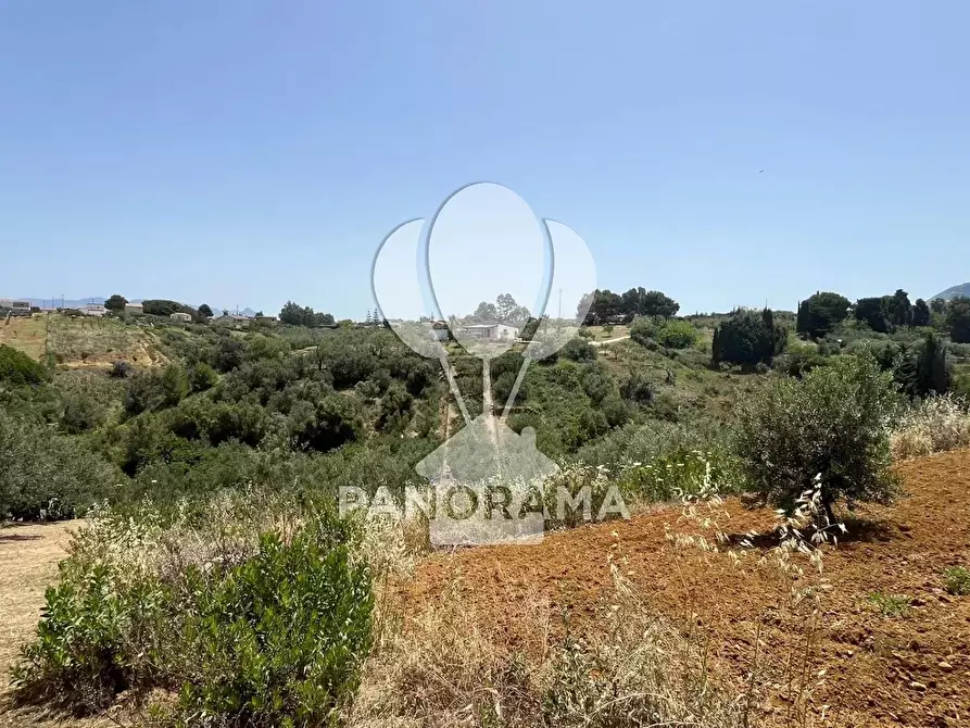 Immagine 15 di Terreno in vendita  in Contrada Vallone del Lupo a Alcamo