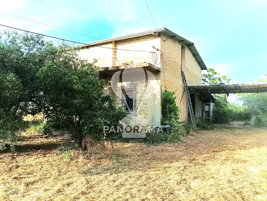 Immagine 15 di Terreno edificabile in vendita  in SS113 a Partinico