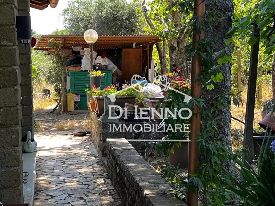 Immagine 44 di Terreno edificabile in vendita  in Strada Valle del Dragone a Arlena Di Castro