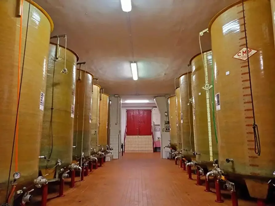 Immagine 24 di Attico in vendita  a Pontestura