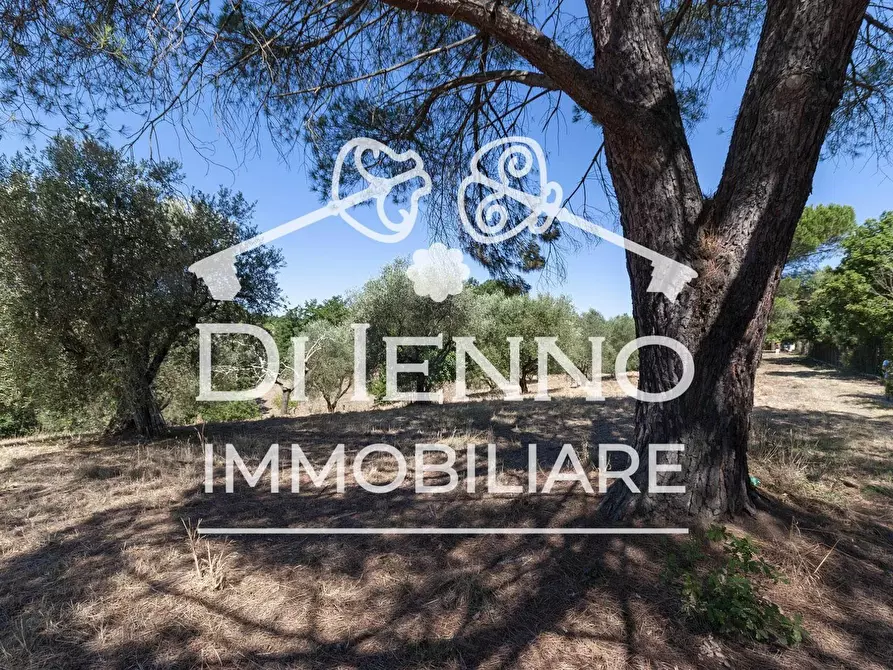 Immagine 7 di Terreno in vendita  a Roma