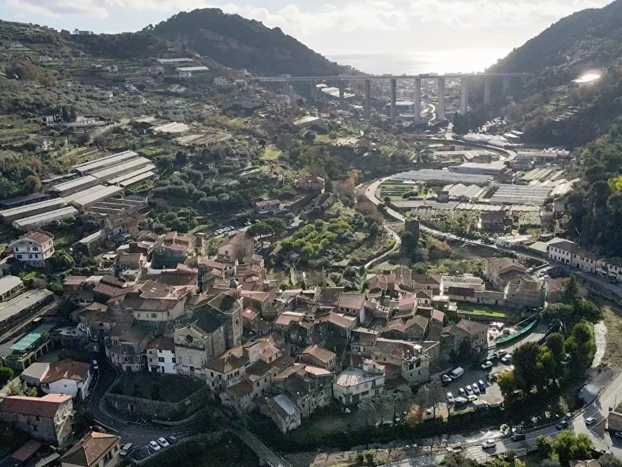 Immagine 20 di Casa trifamiliare in vendita  a Vallecrosia