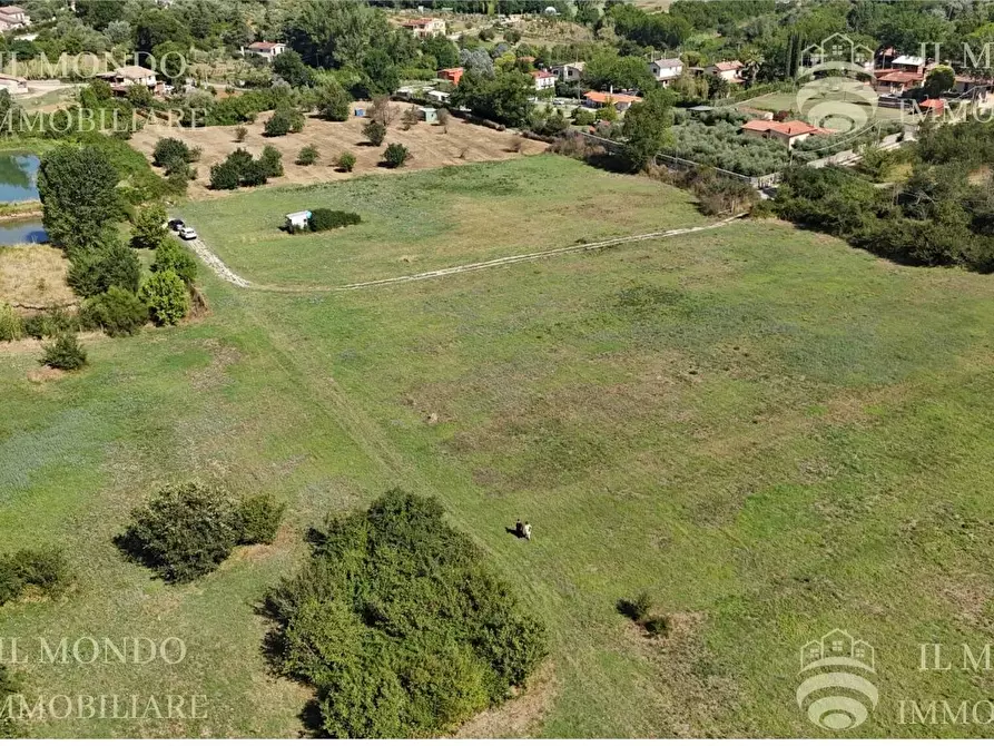 Immagine 5 di Terreno in vendita  in Località Albanetta a Palombara Sabina