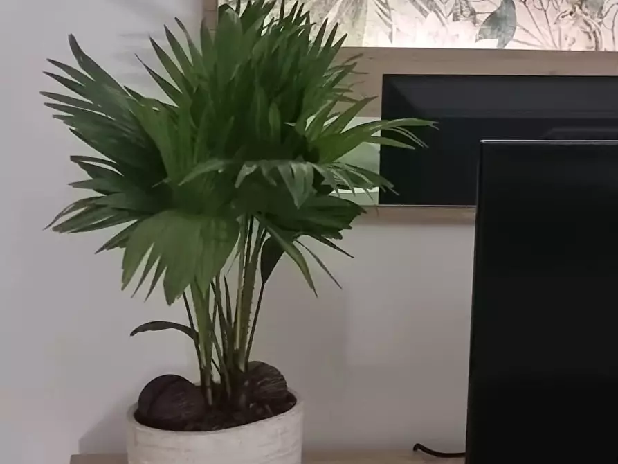 Immagine 30 di Casa trifamiliare in affitto  in Via Giuseppe Luosi a Milano