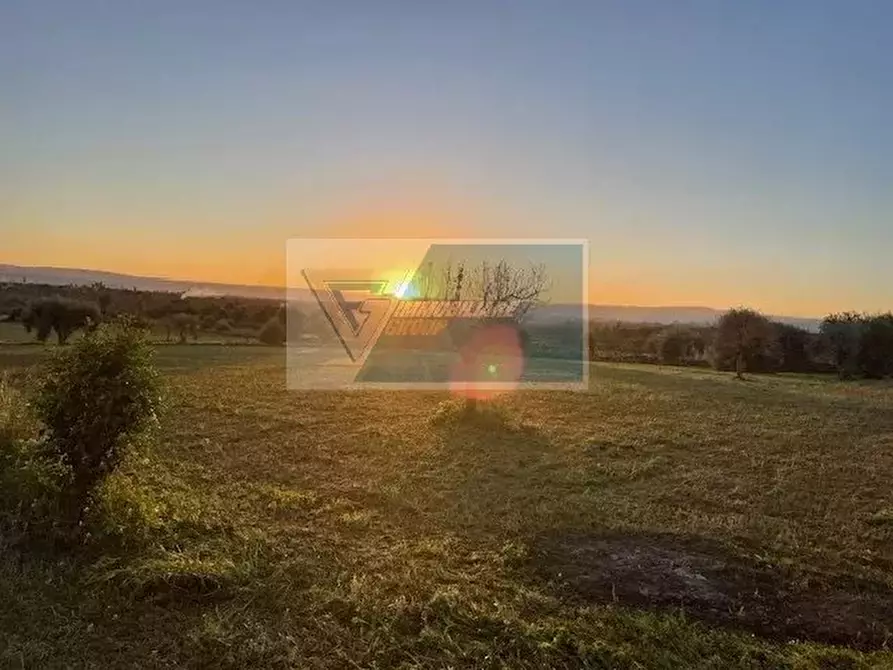 Immagine 2 di Terreno in vendita  in C.da Carancino a Siracusa