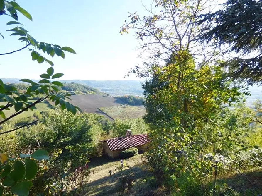 Immagine 3 di Terreno edificabile in vendita  a Ceva