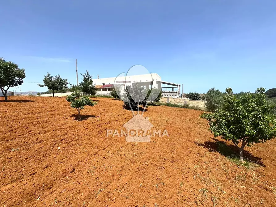Immagine 8 di Terreno in vendita  in Contrada Vallone del Lupo a Alcamo