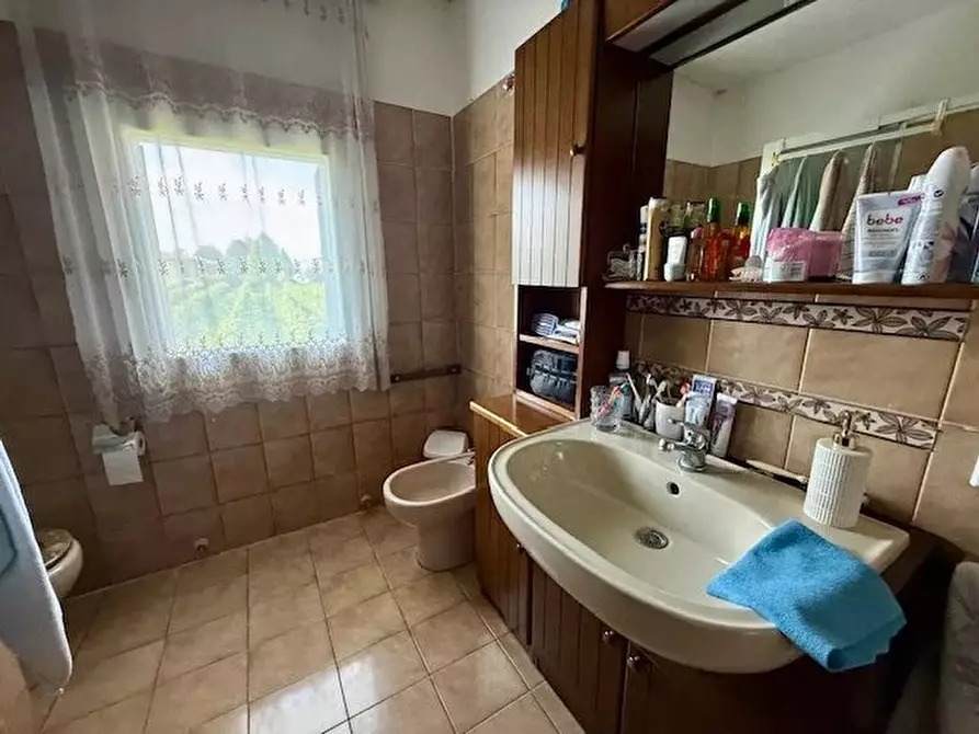 Immagine 6 di Terreno edificabile in vendita  a Cimadolmo