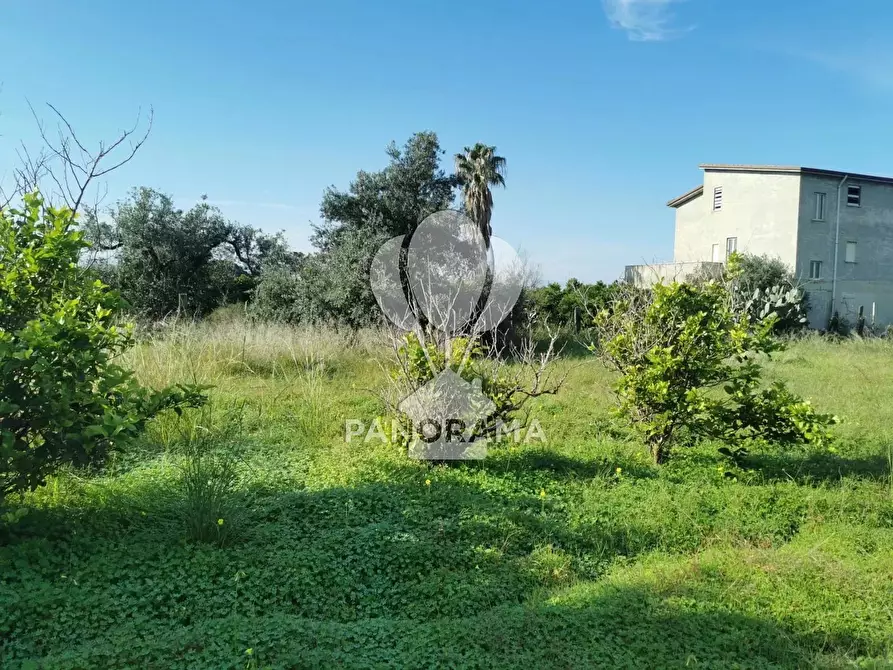 Immagine 1 di Terreno in vendita  in Contrada San Cataldo a Capaci