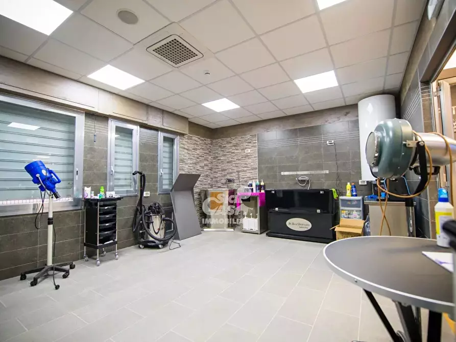 Immagine 9 di Attico in affitto  a Marsala