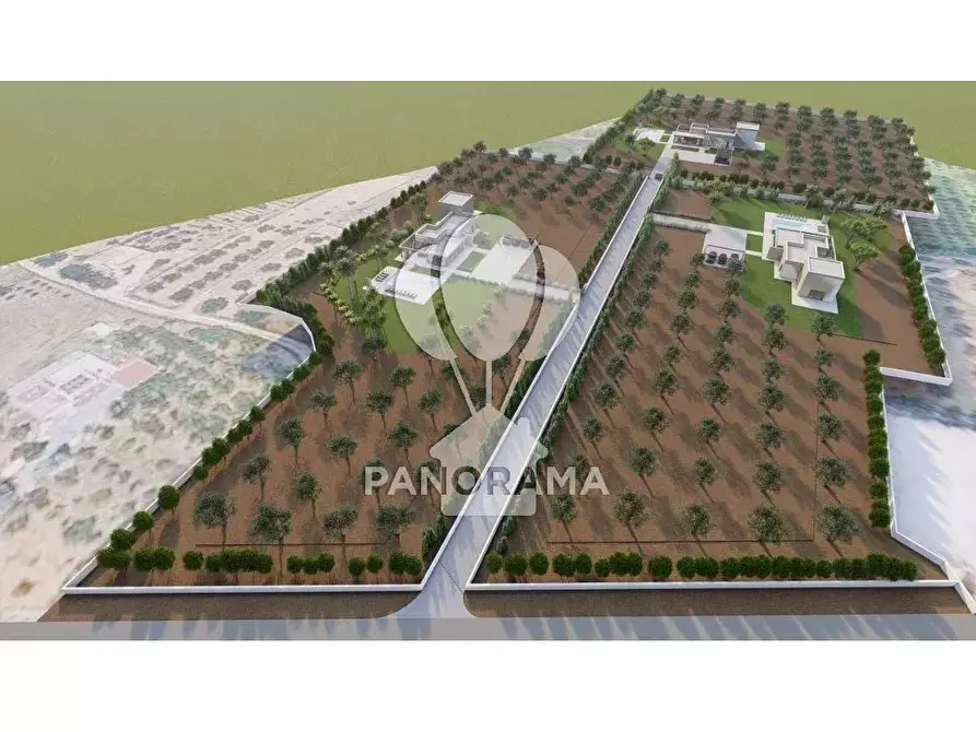 Immagine 18 di Terreno edificabile in vendita  in B&B falconeria a Partinico