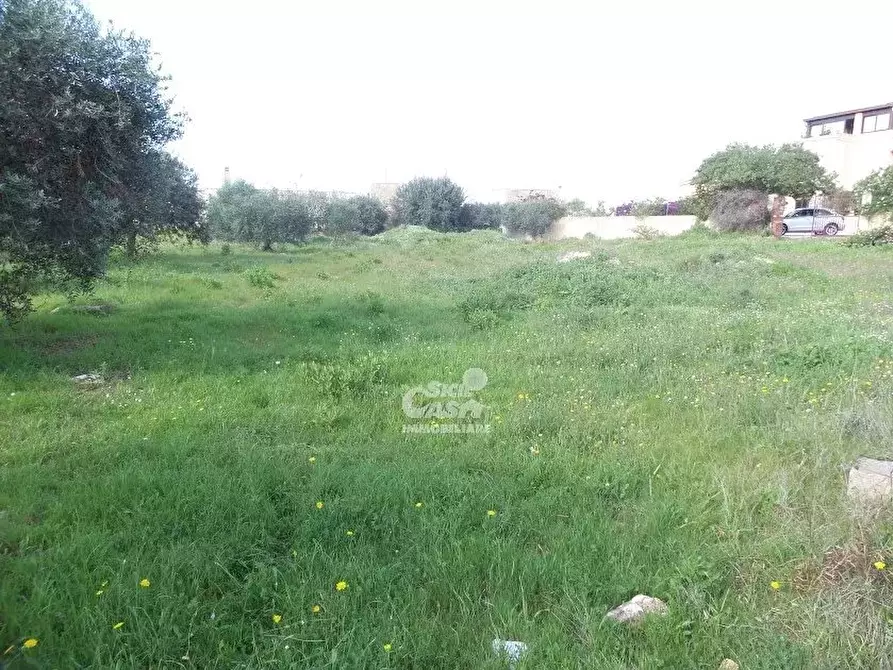Immagine 6 di Terreno in vendita  a Marsala