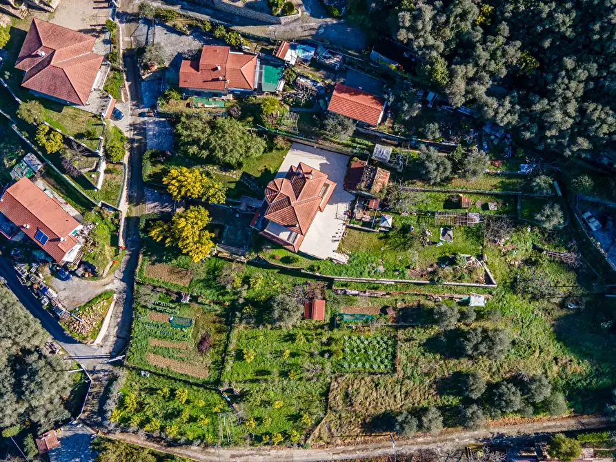 Immagine 30 di Terreno edificabile in vendita  in regione nofea vallecrosia a Vallecrosia