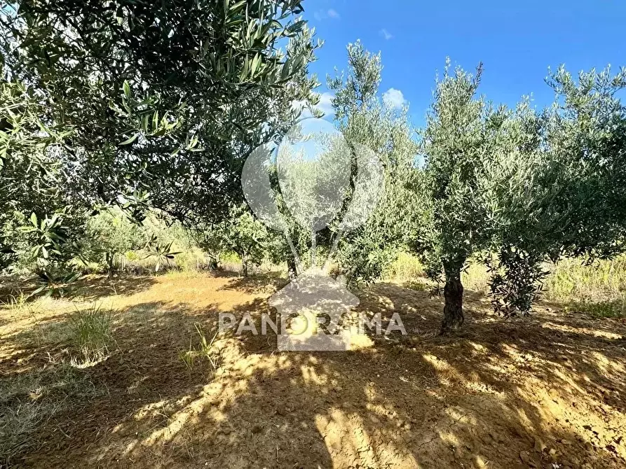 Immagine 27 di Terreno edificabile in vendita  in Contrada Casale a Alcamo