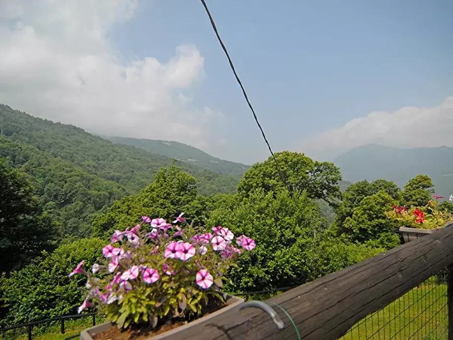 Immagine 24 di Terreno edificabile in vendita  a Bellino