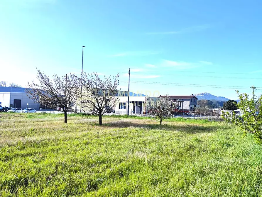 Immagine 1 di Terreno in affitto  in Strada Ponte delle Tavole, snc. a Palombara Sabina