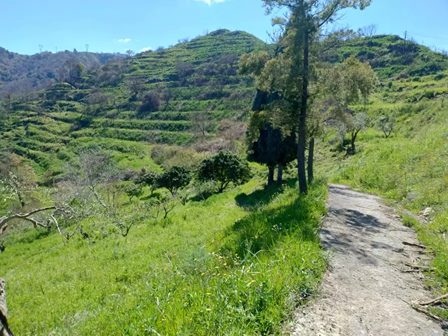 Immagine 3 di Terreno in vendita  in Contrada Bosco, roccavaldina, me a Condrò