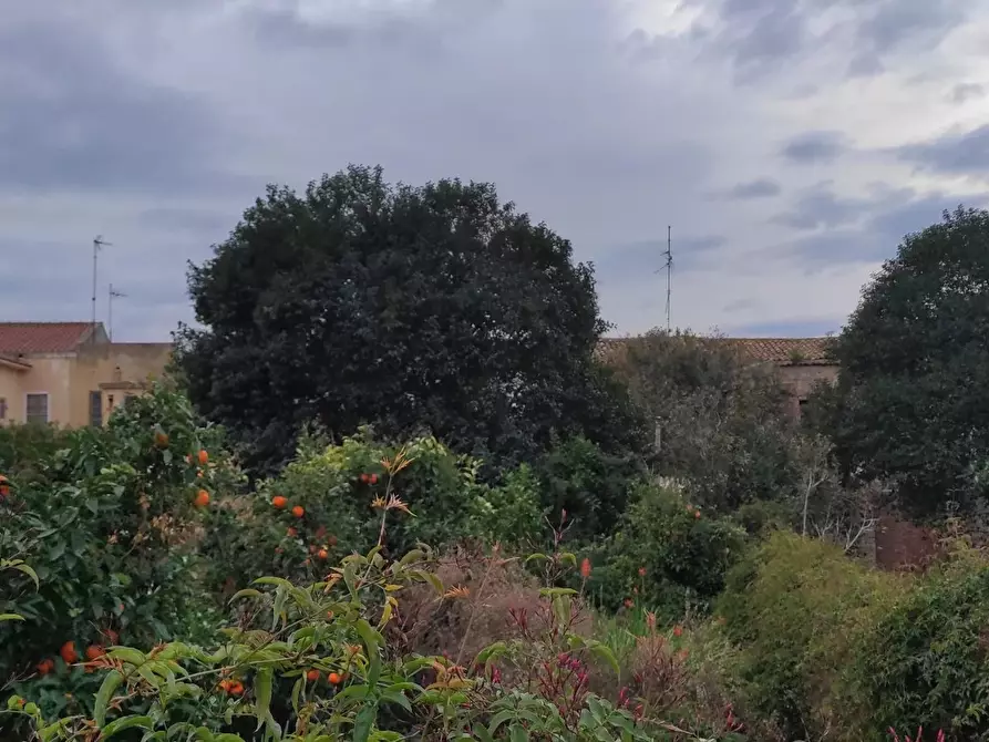 Immagine 2 di Terreno edificabile in vendita  a Condrò
