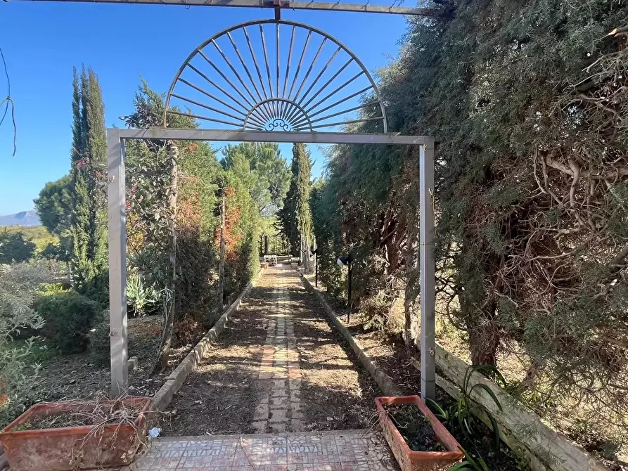 Immagine 1 di Terreno edificabile in vendita  in Contrada Grassuri a Partinico