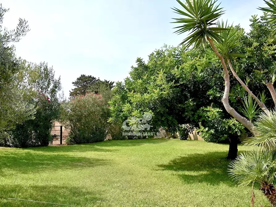 Immagine 54 di Terreno edificabile in vendita  a Marsala