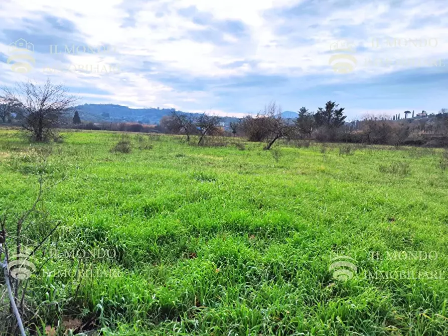 Immagine 7 di Terreno in vendita  in Località Albanetta, snc. a Palombara Sabina