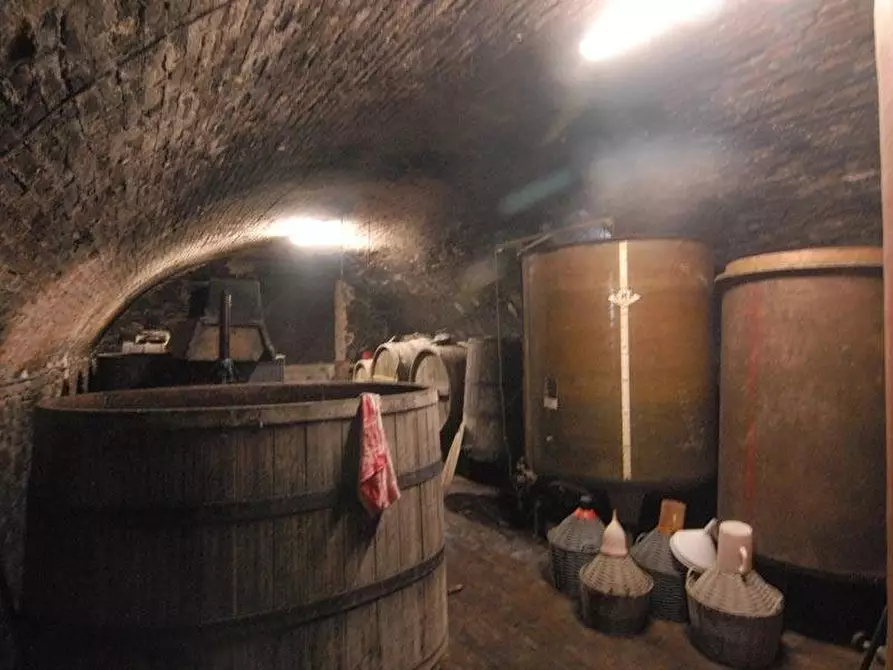 Immagine 4 di Terreno edificabile in vendita  a Barolo