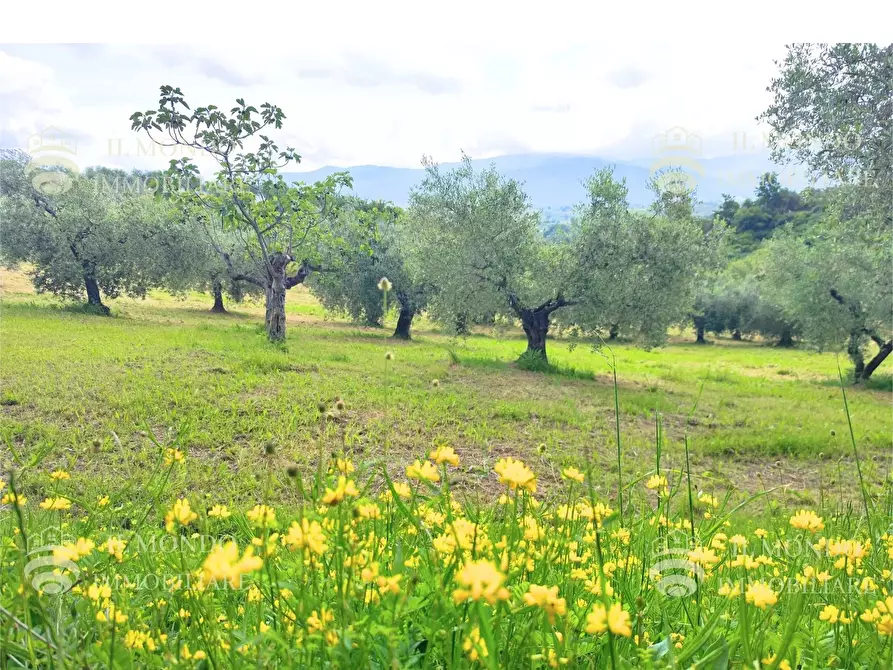 Immagine 1 di Casa bifamiliare in vendita  in Strada di Colle Fagiano a Palombara Sabina