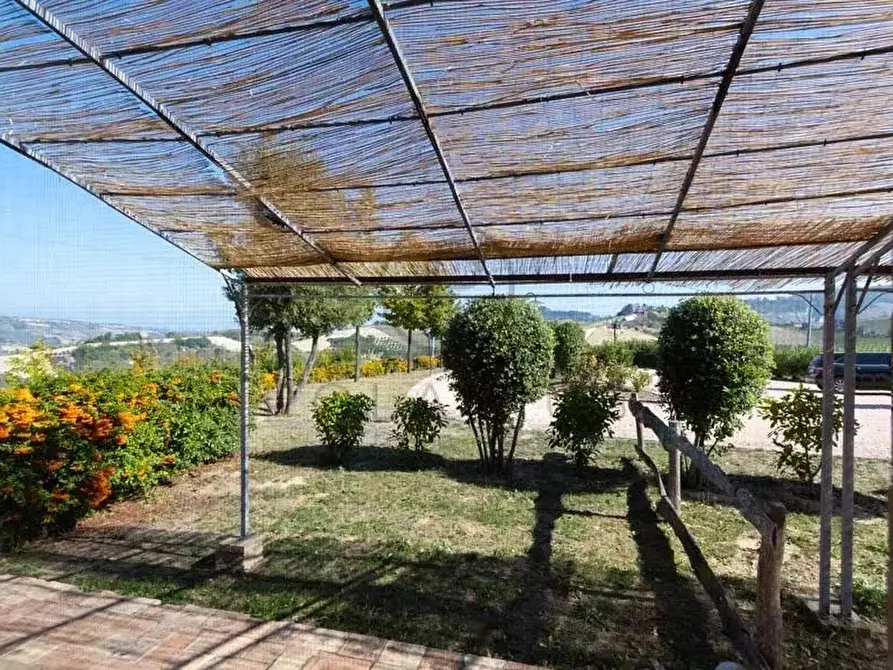 Immagine 34 di Terreno edificabile in vendita  in ripatransone a Ripatransone