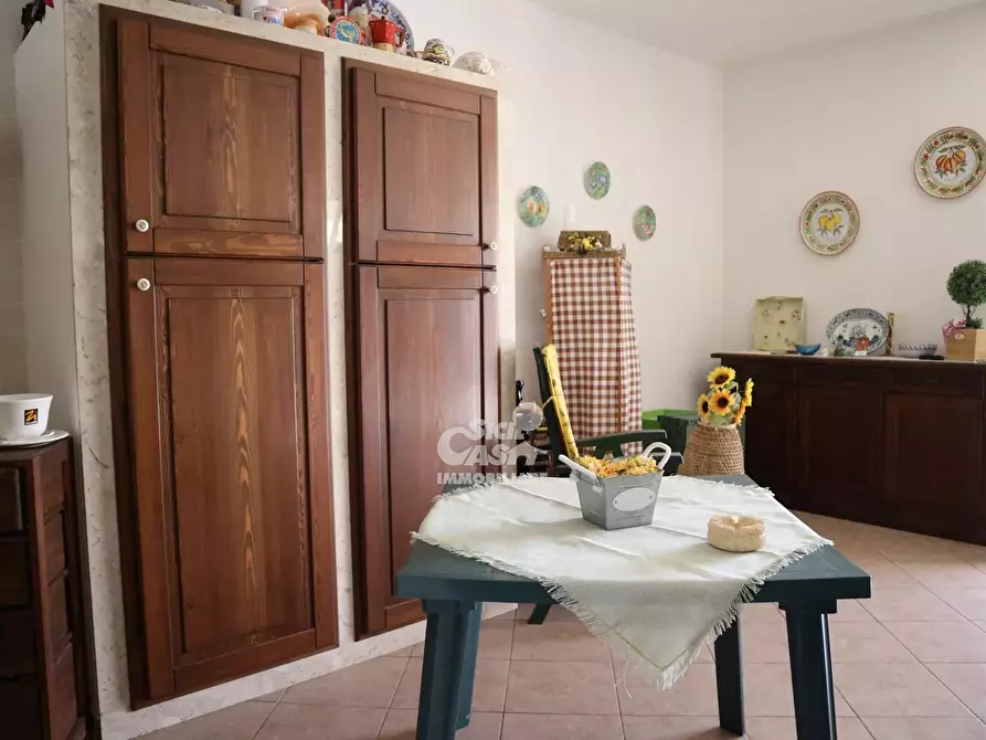 Immagine 24 di Terreno edificabile in affitto  a Marsala