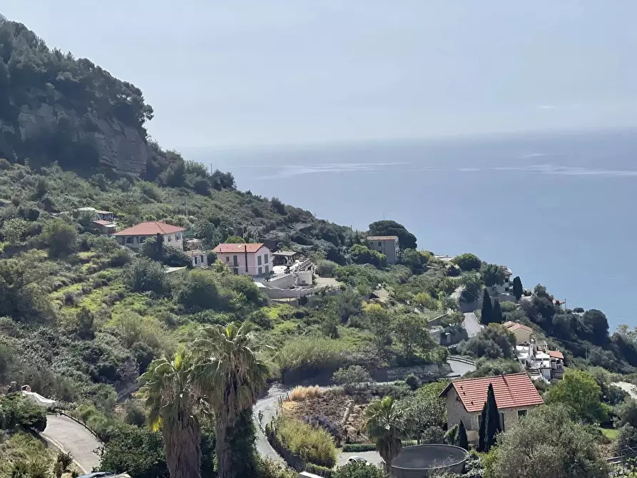 Immagine 4 di Casa trifamiliare in vendita  a Ventimiglia
