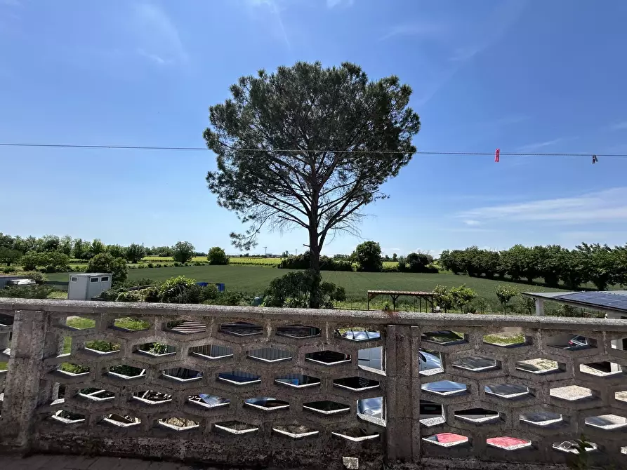 Immagine 32 di Casa trifamiliare in vendita  a Cimadolmo