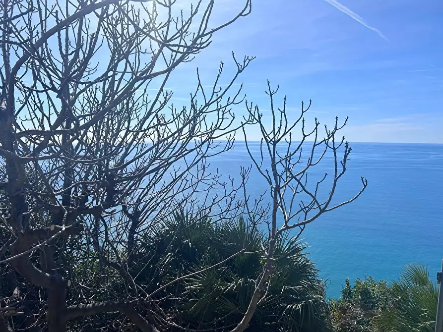 Immagine 13 di Casa trifamiliare in vendita  in Località Peidaigo, 15 a Ventimiglia