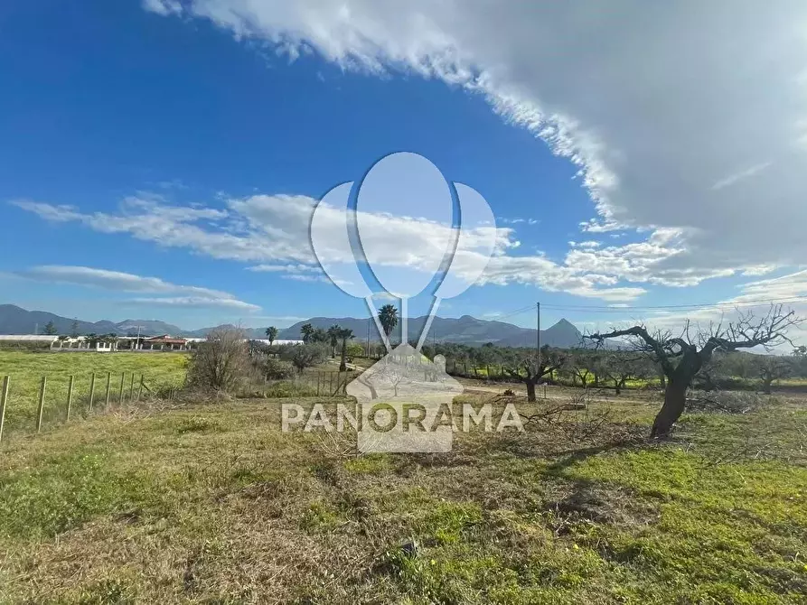 Immagine 14 di Terreno edificabile in vendita  in Contrada Bosco Falconeria a Partinico
