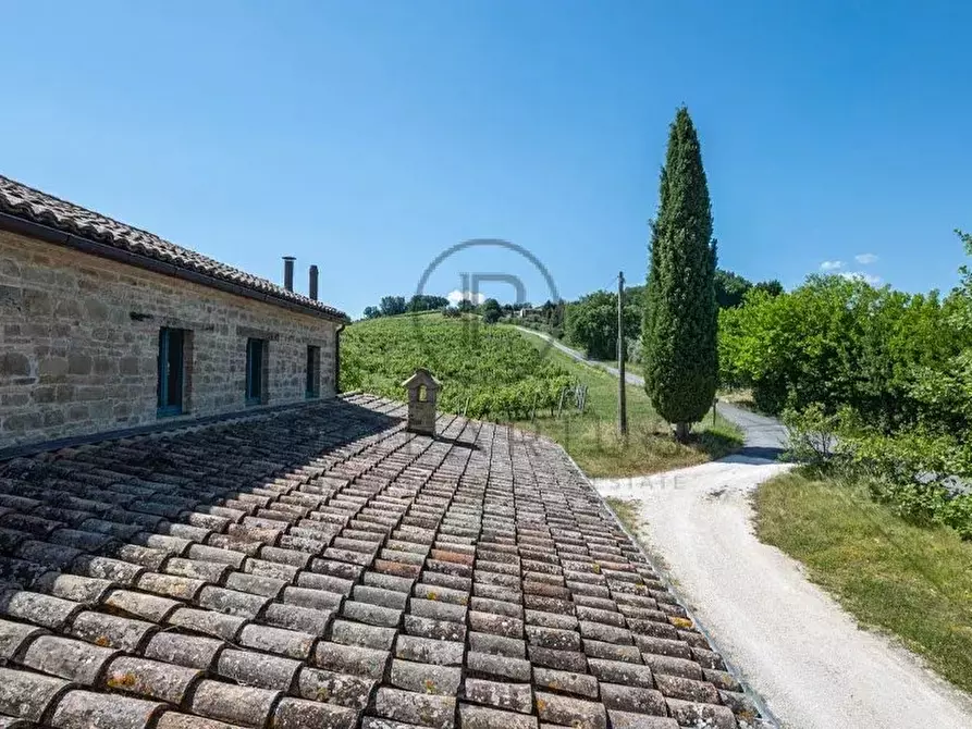 Immagine 23 di Terreno edificabile in vendita  in Serra San Quirico a Serra San Quirico