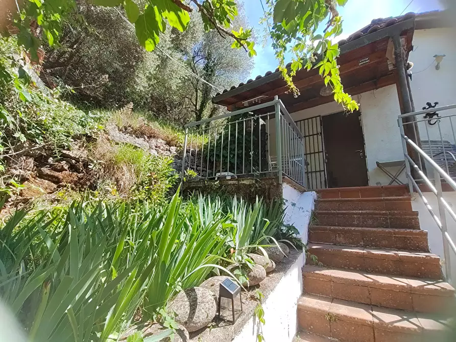 Immagine 20 di Terreno edificabile in vendita  a Apricale