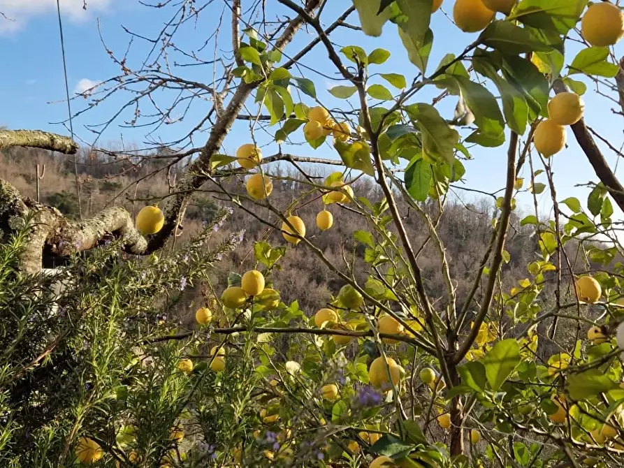 Immagine 27 di Terreno edificabile in vendita  in Sorlana a Lavagna