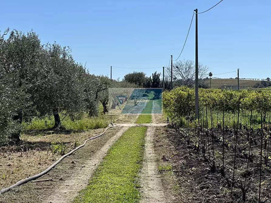 Immagine 18 di Terreno in vendita  a Noto