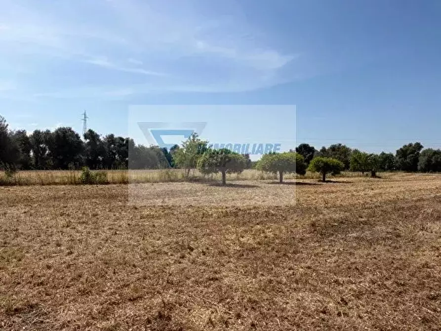 Immagine 13 di Terreno in vendita  in Strada Tremmilia a Siracusa