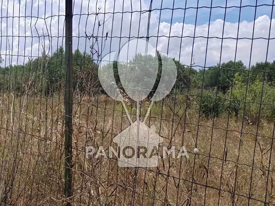 Immagine 8 di Terreno in vendita  in SS 113 Settentrionale Sicula a Partinico