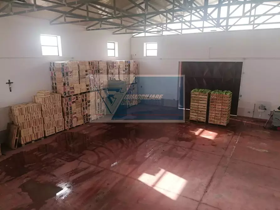 Immagine 4 di Casa bifamiliare in vendita  in Via Elorina a Siracusa