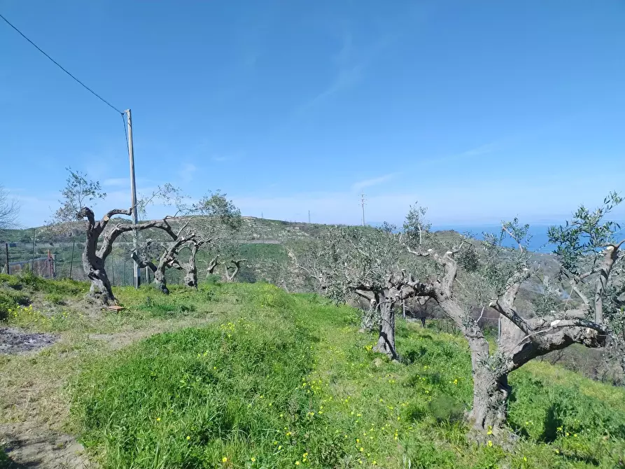 Immagine 18 di Terreno in vendita  in Contrada Bosco, roccavaldina, me a Condrò