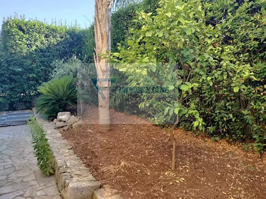 Immagine 6 di Terreno edificabile in vendita  in Via Acquaviva Platani a Siracusa