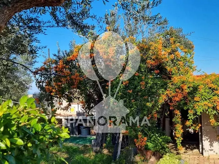 Immagine 23 di Terreno edificabile in vendita  in B&B falconeria a Partinico