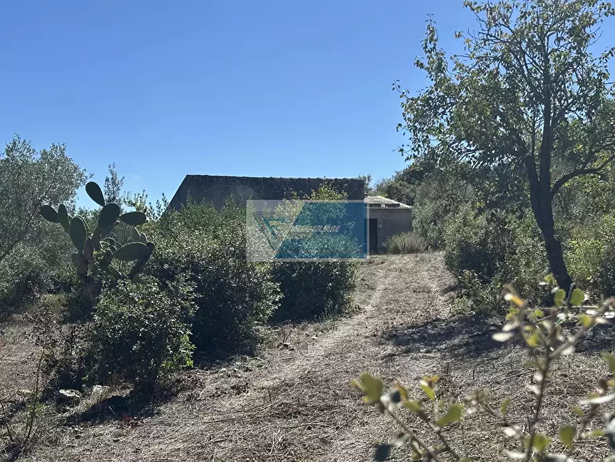 Immagine 4 di Casa trifamiliare in vendita  a Noto