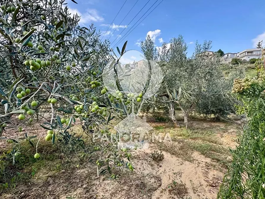 Immagine 5 di Terreno in vendita  in Contrada Timpi Rossi a Alcamo
