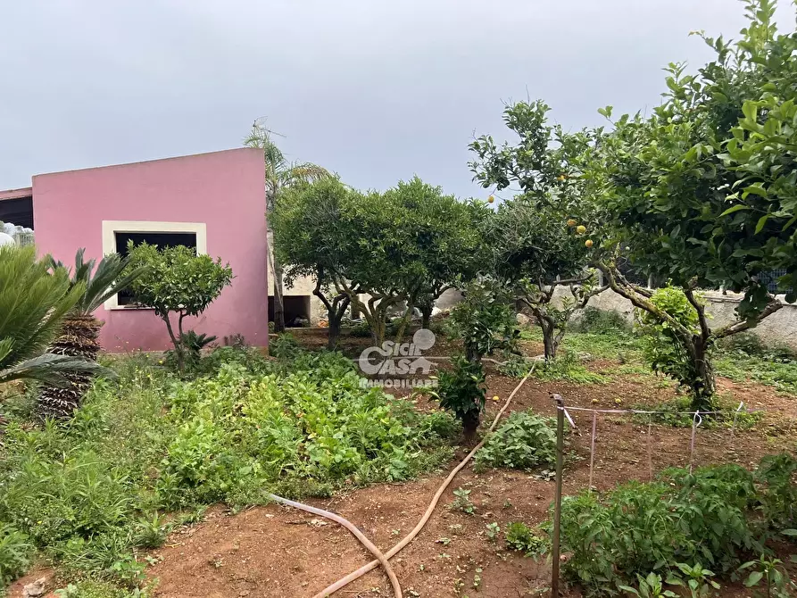 Immagine 27 di Terreno edificabile in vendita  in Contrada Ponte Fiumarella a Marsala