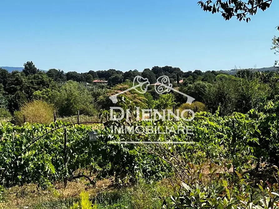 Immagine 31 di Terreno edificabile in vendita  in Strada Valle del Dragone a Arlena Di Castro