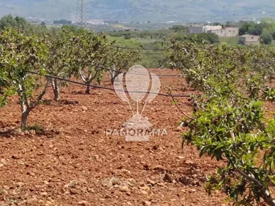 Immagine 5 di Terreno in vendita  in Via Adda Partinico a Partinico